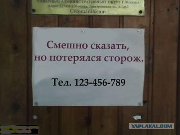 Картинки