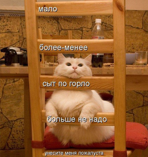 Не будите спящего кота!
