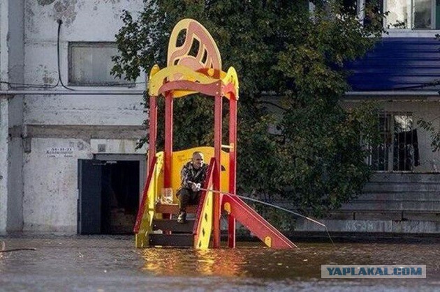 Забавные картинки из Сети