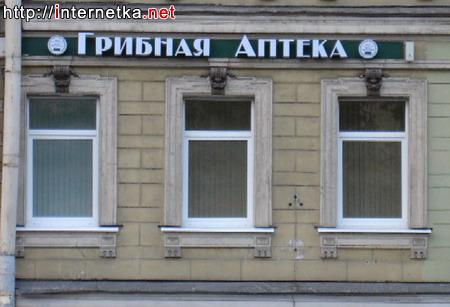 Грибная аптека, магазин биологически активных добавок, Колокольная, 8, Санкт-Пет