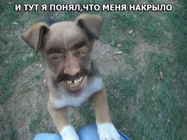Всяко - разно...картинки