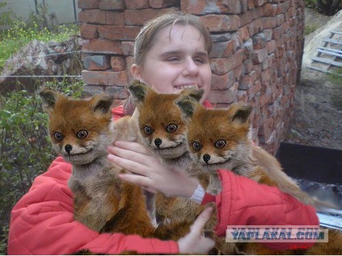 Хочу сказать Президенту В. В. Путину.