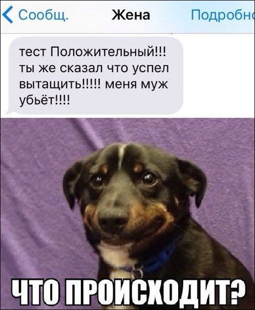 Смешные комментарии 06.07.2016
