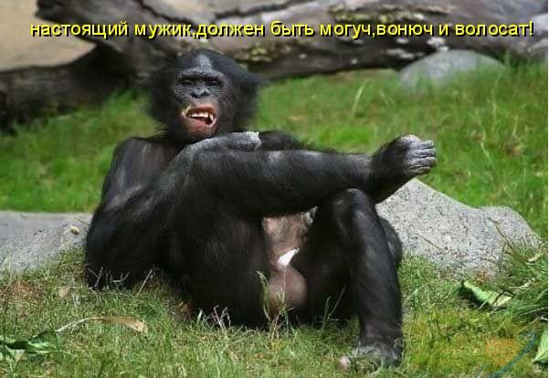 Мужчины отвечают на вопрос «Как должен выглядеть настоящий мужчина?»