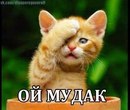 История о зоошизе и для нее