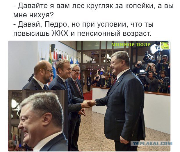 Исчезновение лесов Карпат