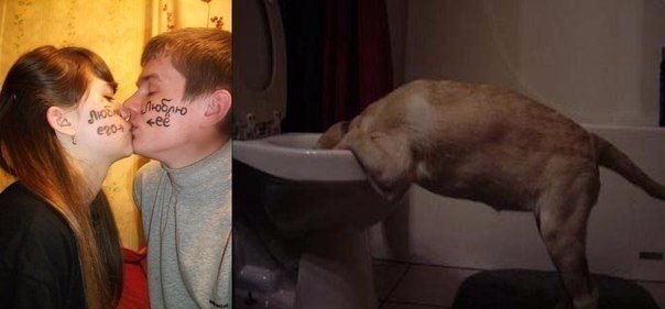 Юмор не для всех