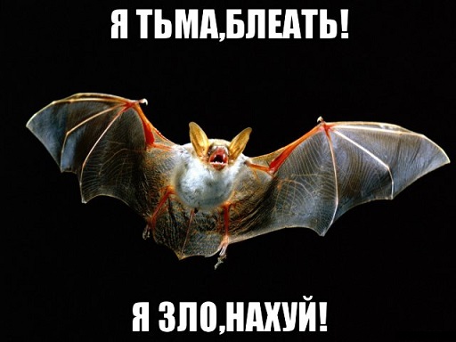 Настало время умопомрачительных сказов