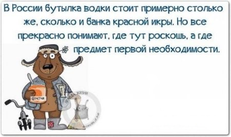 Алкоюмор