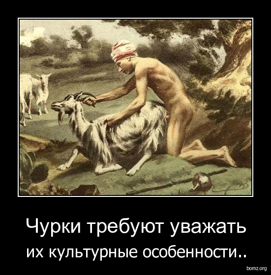 В Краснодаре двое мужчин избили водителя троллейбуса на глазах у пассажиров