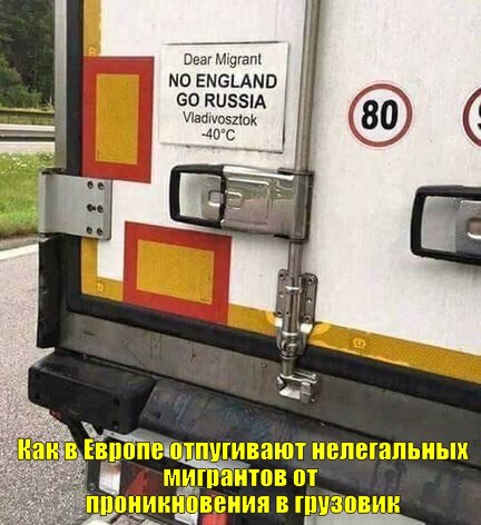 Подборка интересных и веселых картинок