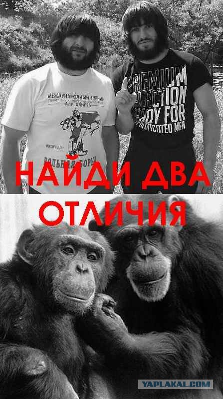 Ничего нового, как всегда толпой