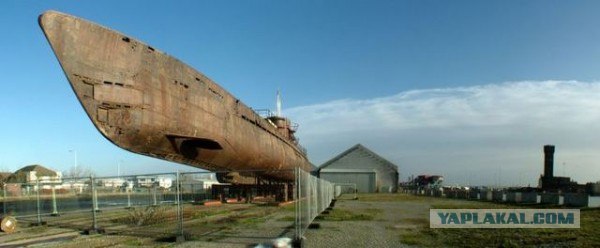 Необычный вид (5 фото)