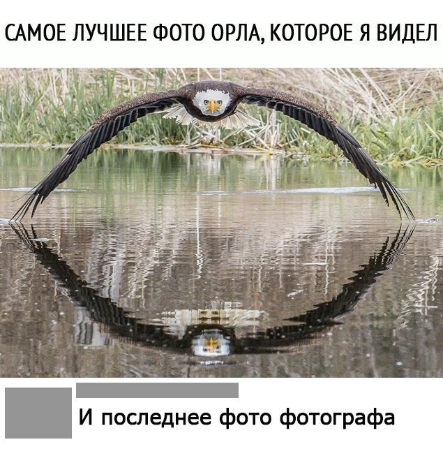Немного картинок с надписями и без - 42