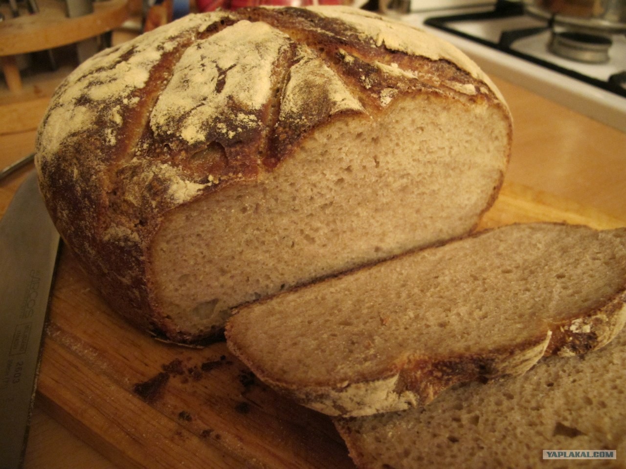 Почему хлеб опускается. Почему плесневеет хлеб. Полость в батоне причина. Как плесневеет Бородинский хлеб.
