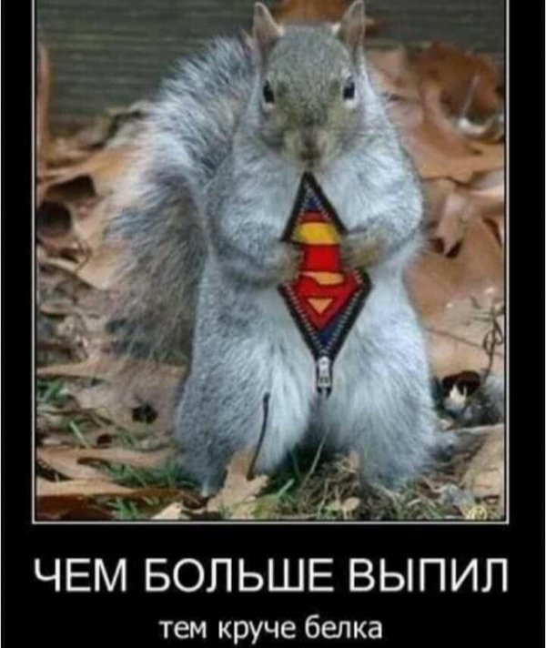 Прикольные и просто красивые картинки 14.01.2021