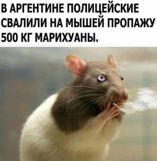 Прикольные и просто красивые картинки 11.02.2021