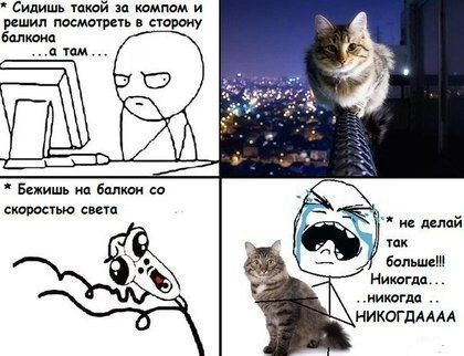 Кот заставляет поволноваться