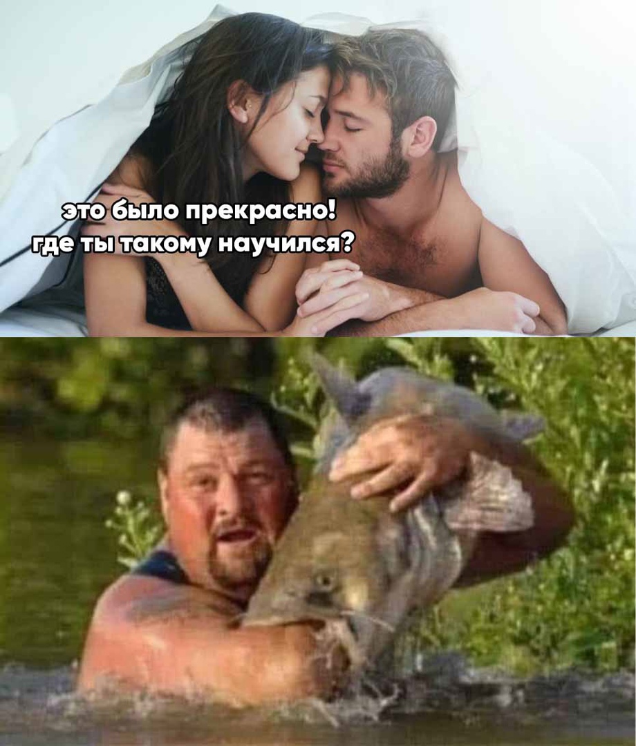 15388733.jpg