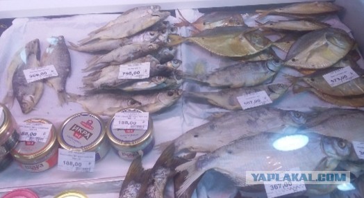 Разоблачение мифов о сумасшедших ценах на продукты в Сочи. Свои ролики с ценами, рынок Адлера. Часть вторая