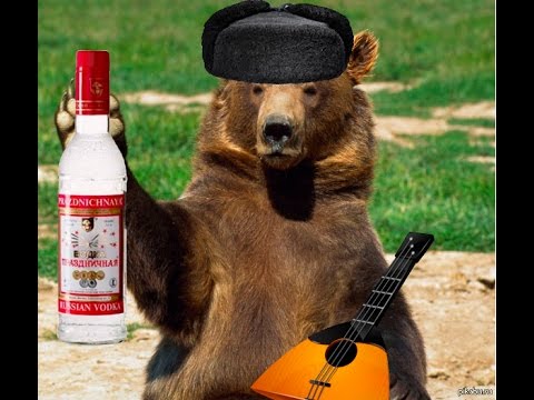 ВС запретил разводить на садовых участках сельскохозяйственных животных