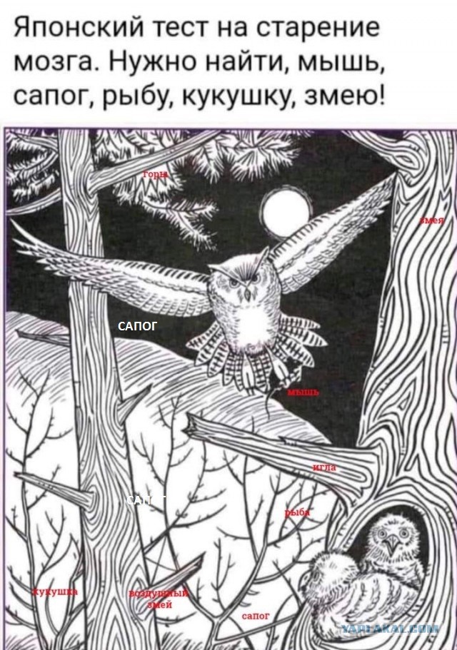 Бредзона 10.10.2021