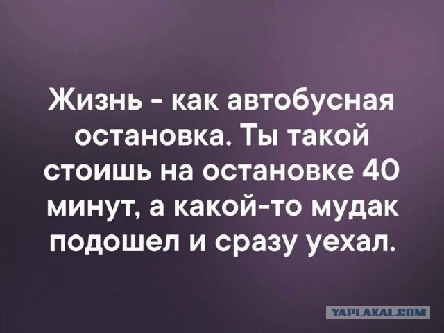 Всяческие картинки 19.11.2021