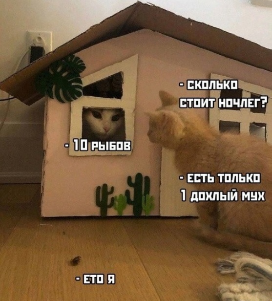 Всяческие картинки 29.11.2021