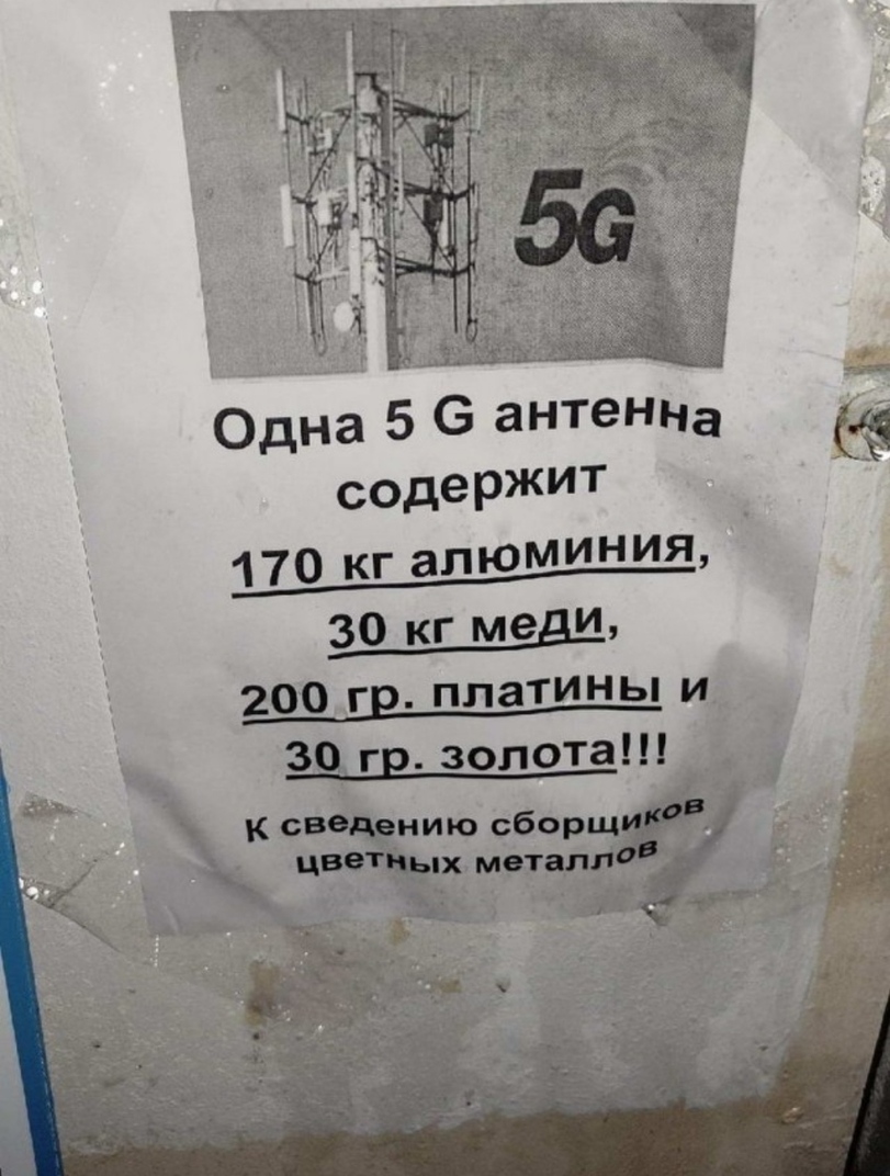 16224733.jpg