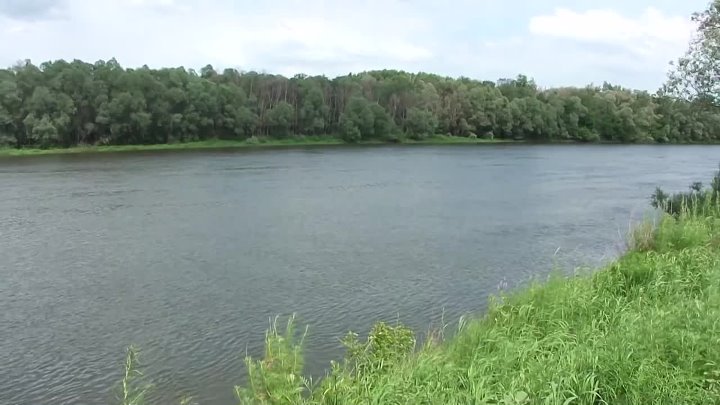 Лискинский Район Село Щучье Купить Дом