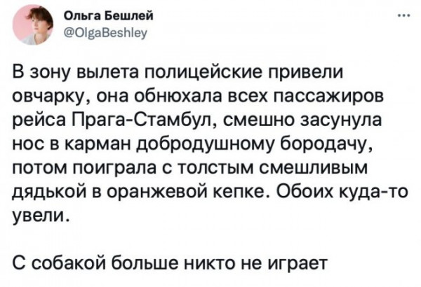 Чуток картинок 23.01.22