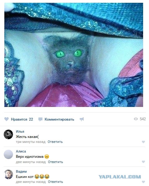 Как только она сняла пиджак ...