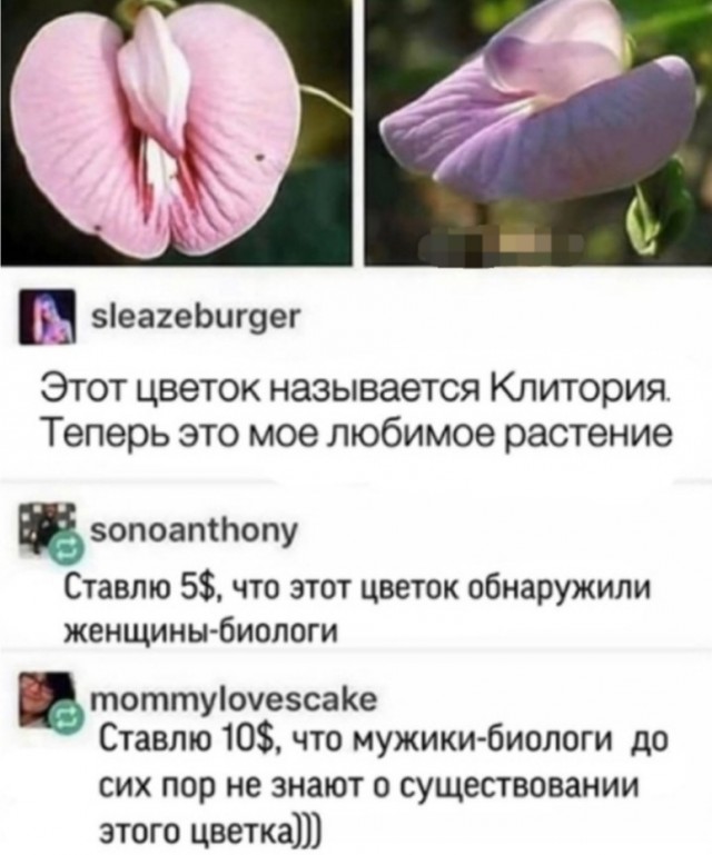 Так себе картинки 18.04.22