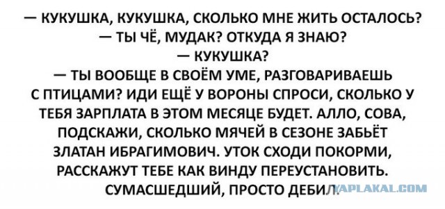 Картинки и мемы для настроения - 27