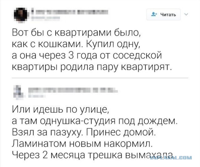 Забавные комментарии из социальных сетей (20.06.22)