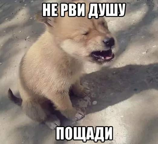 Твори добро!