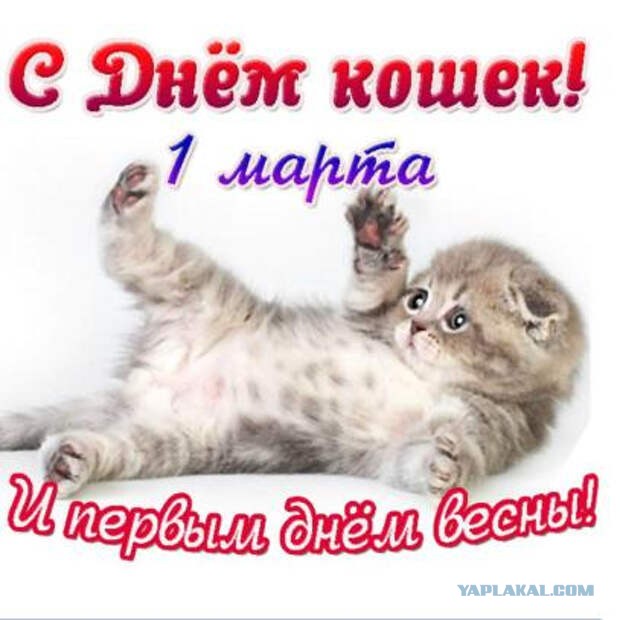 Это правда?!