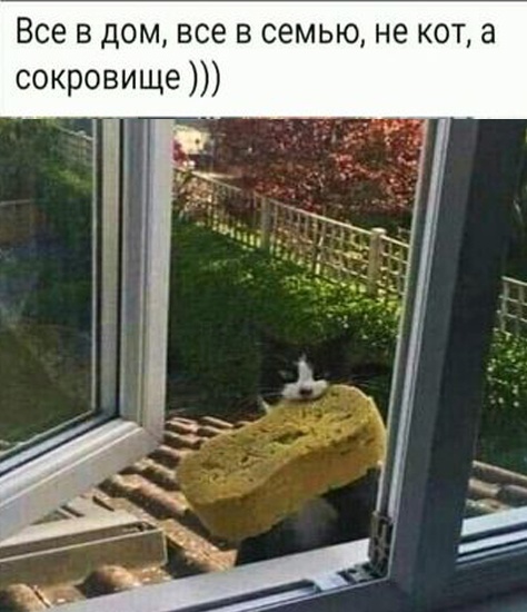 Так себе картинки 06.10.23