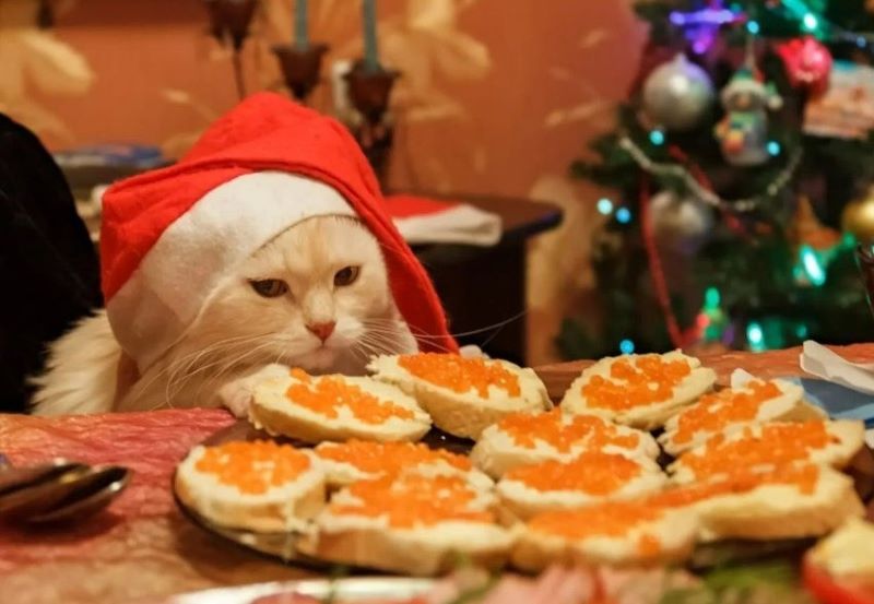 Новогодний стол 2025 мем