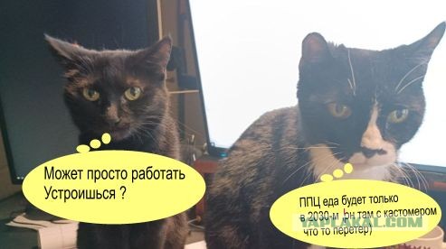 Туда и обратно