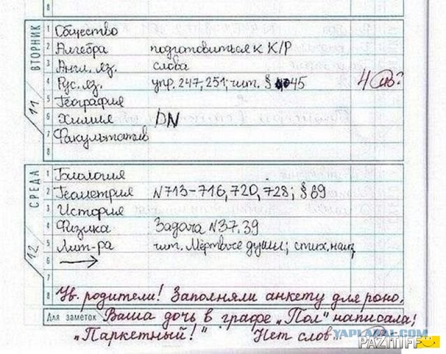 Забавные школьные дневники