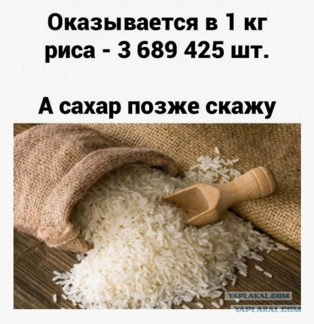 Когда бабе заняться нечем