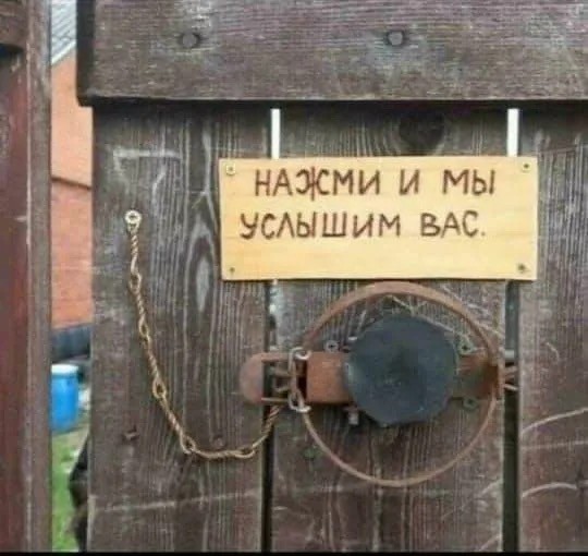Нормально мне узбеки звонок подключили? )