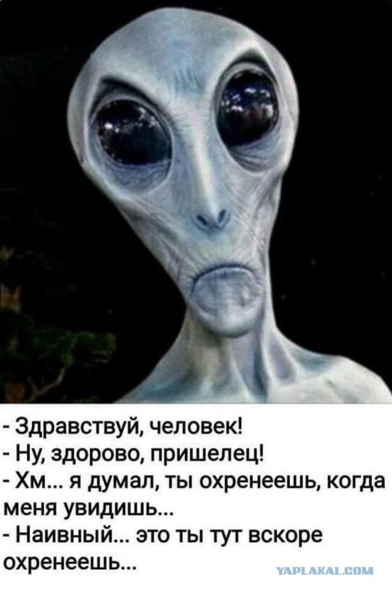 Ждём-с