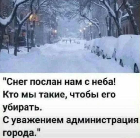 Веселые картинки в маленькую пятницу (21.10)