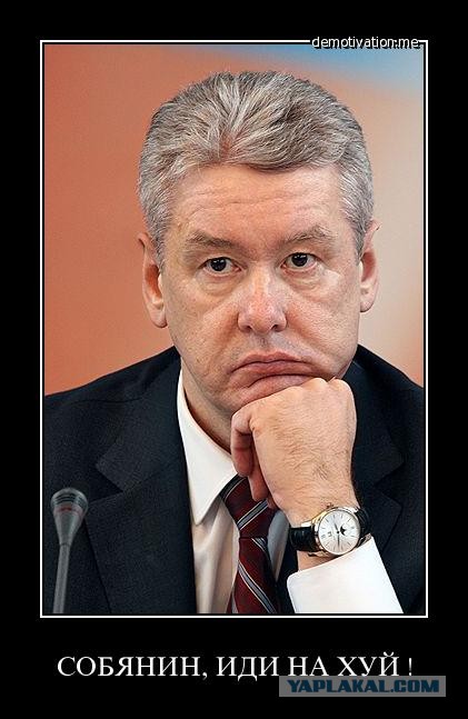 "Москвичи" за Собянина