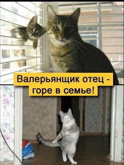 Не про олимпиаду