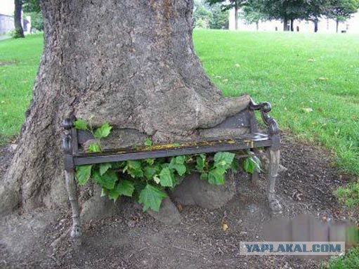 Пошел за грибами. Нашел лисапед.
