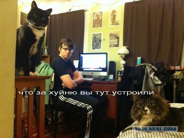 Секса скоро не будет?