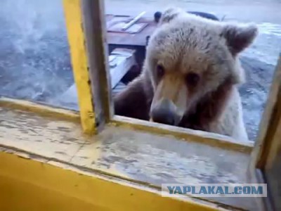 Голландцы о России и русских